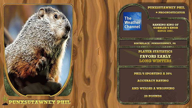 01_TopGroundhogWTC_PunxSutawneyPhil_980x551