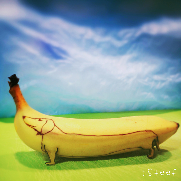 194-fruitdoodle-isteef-dachshund