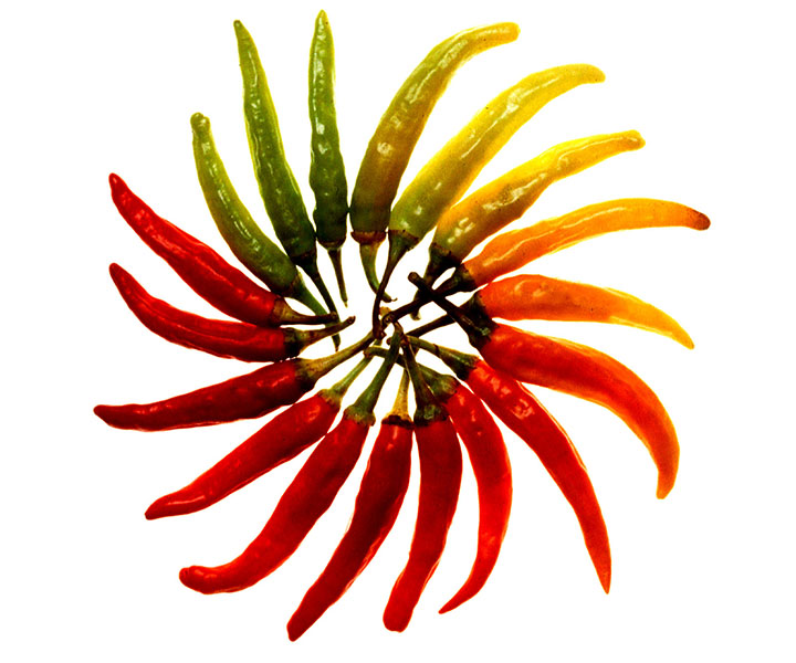 chili pepper wheel