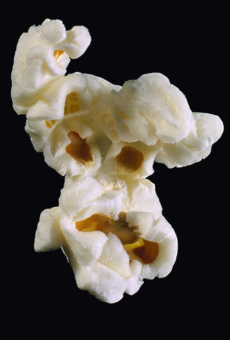 popcorn9lg