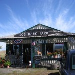 dog-bark-park-office-giftshop