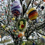 easter eggs closeup from easter egg tree