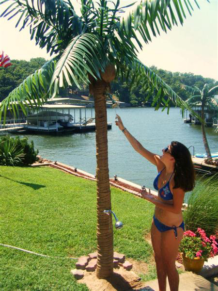 palm tree shower