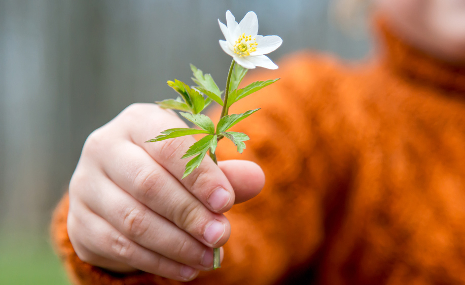 flower offered