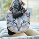 cat bag