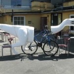 markus moestue dinosaur bike #5