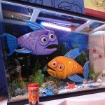 pee-wees fish