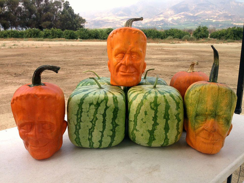 Frankenstein pumpkins