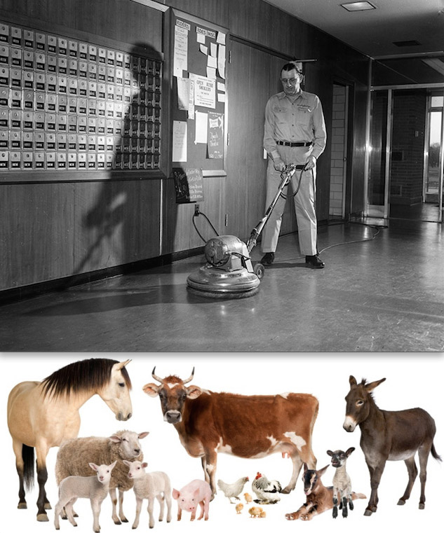 National Custodial Workers Day & World Farm Animals Day! - Pee-wee's blog