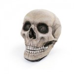 skull chair 4