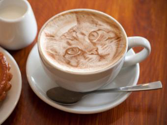 Kitty Latte Art #2