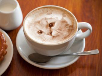 Kitty Latte Art #3