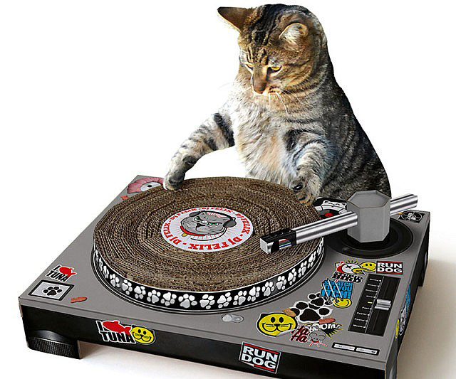 cat dj scratch turntable #1