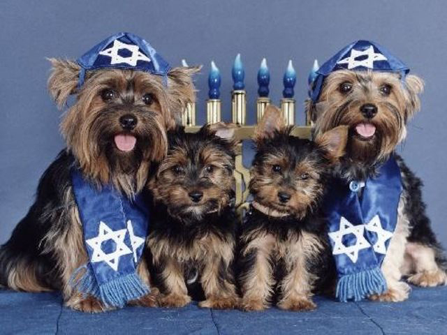 Hanukkah dogs