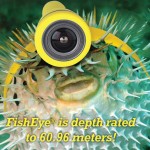 Prank Pack Fish Eye #9