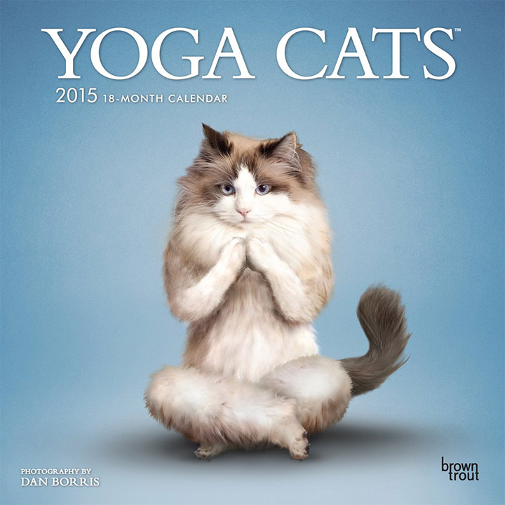 Yoga cats calendar 1