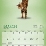 Yoga cats calendar 2