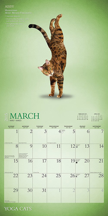 Yoga cats calendar 2
