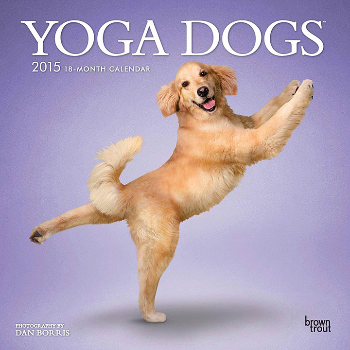 Yoga dogs calendar 1