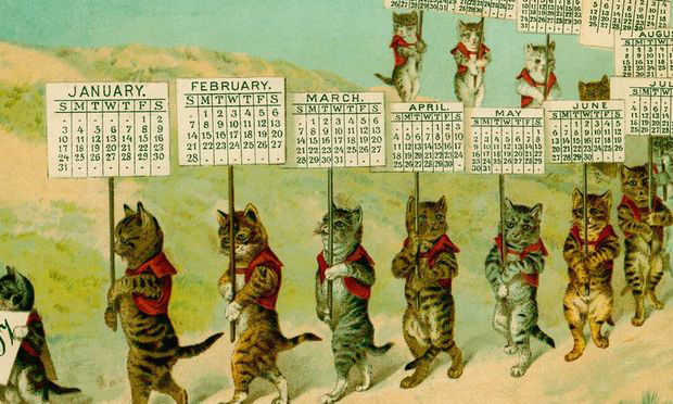 cats with calendars