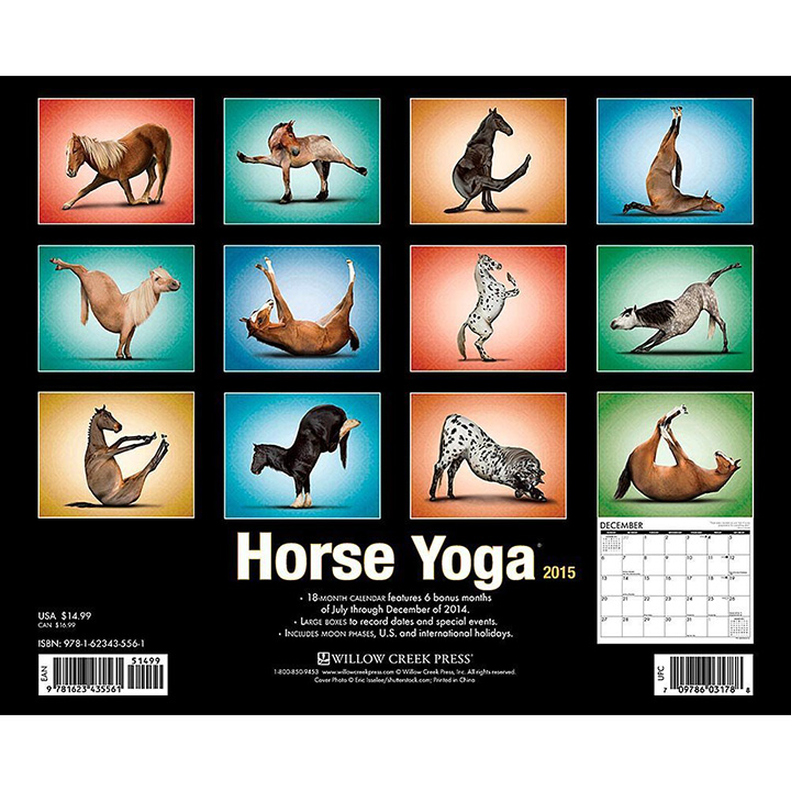 horse yoga calendar 2