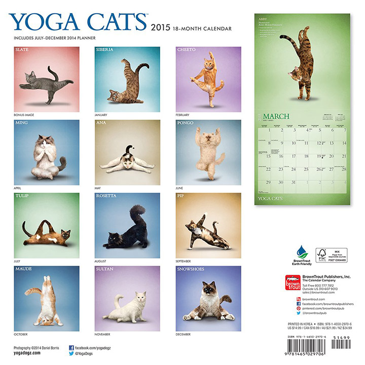 yoga cats calendar 3