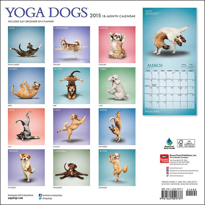 yoga dogs calendar 2