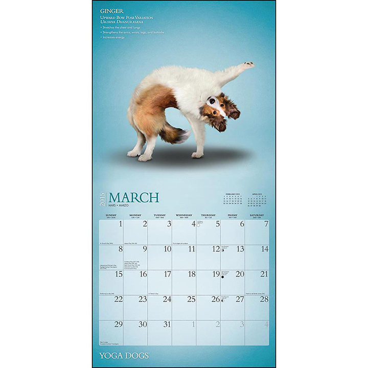 yoga dogs calendar 3