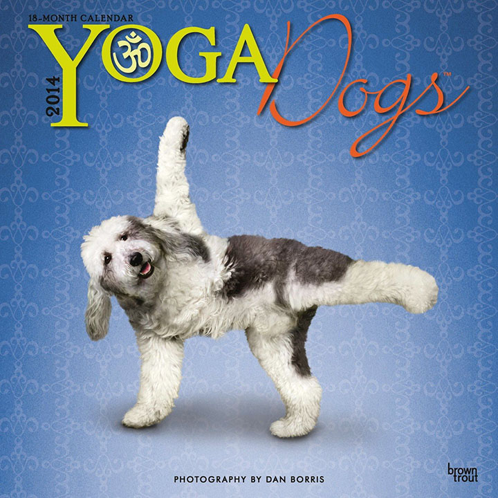 yoga dogs multi lingual calendar Peewee's blog