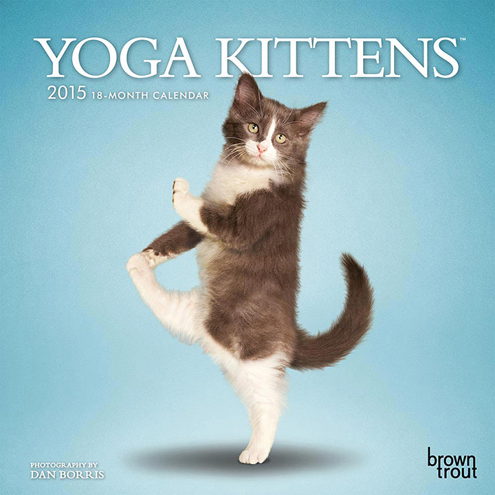 yoga kittens calendar 1