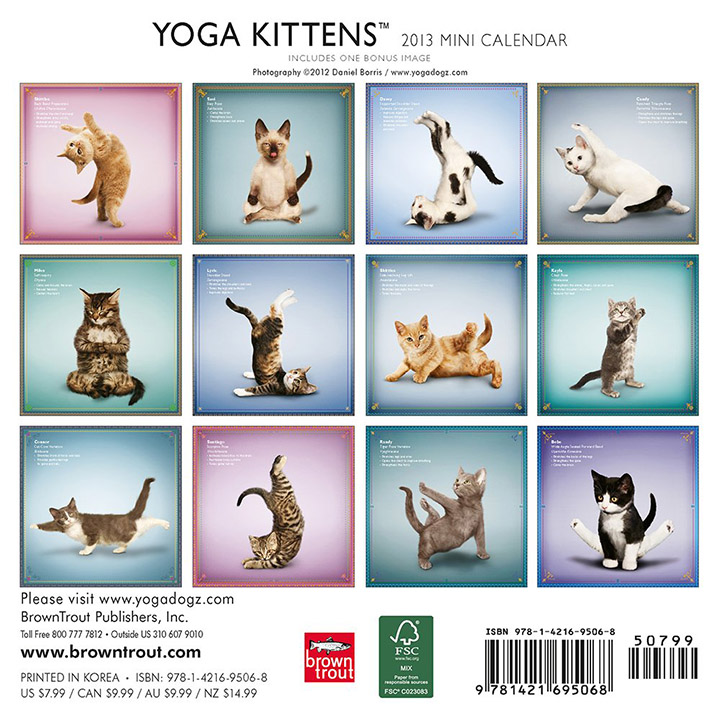 yoga kittens calendar 2