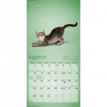 yoga kittens calendar 3