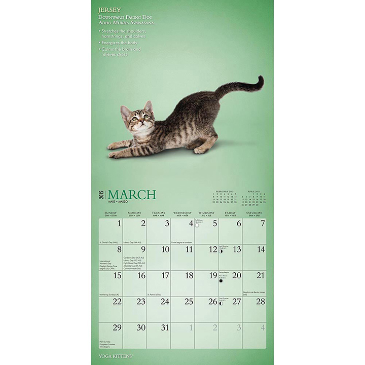 yoga kittens calendar 3 - Pee-wee's blog