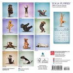 yoga puppies calendar 2