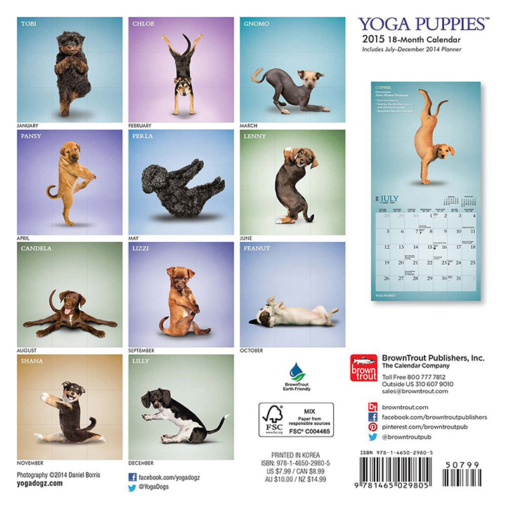 yoga puppies calendar 2