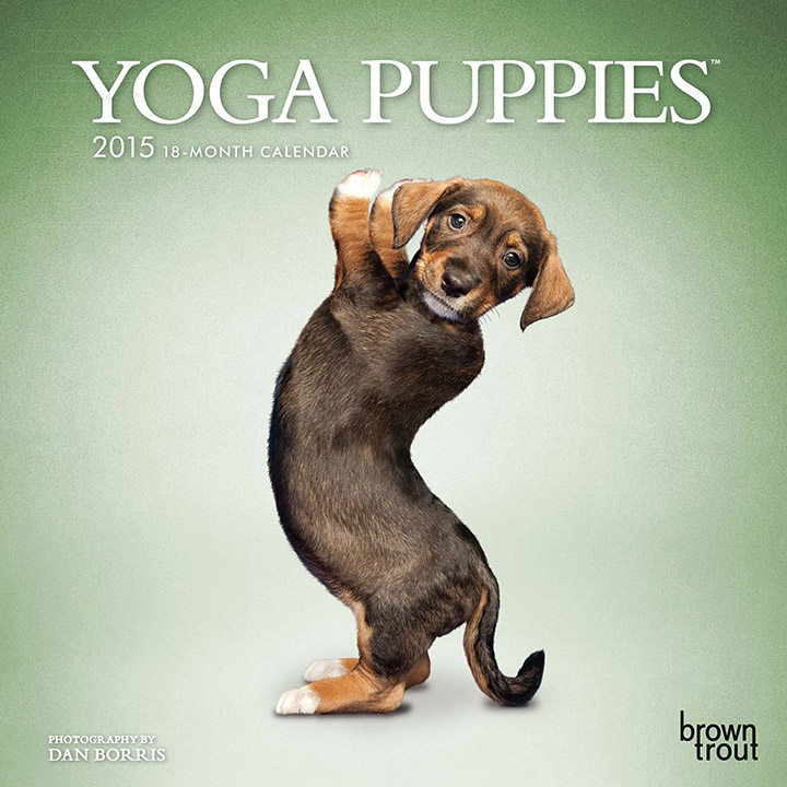 yoga puppies calendar