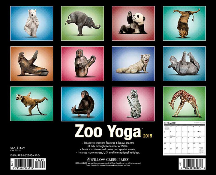 zoo yoga calendar 2