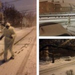 Boston Yeti #2