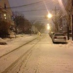 Boston Yeti #4