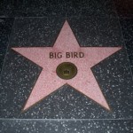 big bird walk of fame star