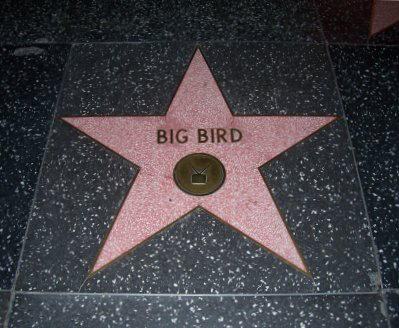 big bird walk of fame star