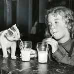 girl and kitten drinking from straws