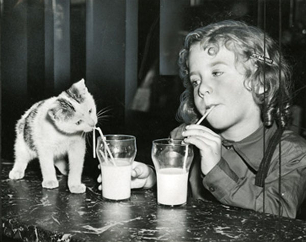 girl and kitten drinking from straws