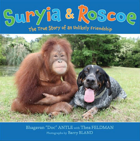 Suryia the Orangutan and Roscoe the Bluetick Coonhound #9