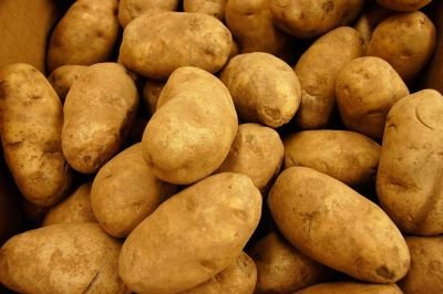 5lbs of potatoes