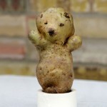 Bear potato