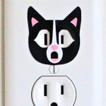 Black-cat-outlet-featured