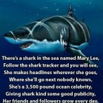 mary lee the shark poem