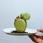 Cactus-macaron-by-Ayako-Kurokawa