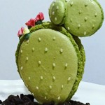 Cactus-macaron-by-Ayako-Kurokawa-featured
